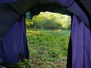 Tent View Vialade