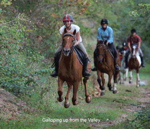 French Riding Holidays offer the very best in riding holidays in France, horse riding in France and activity holidays in France